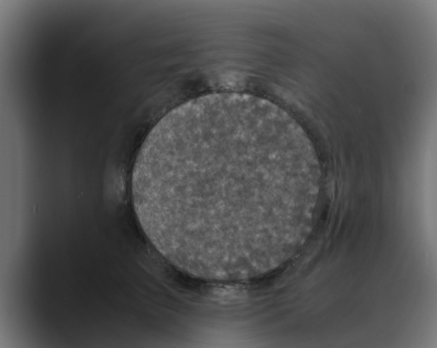 X0000088480709200706191407