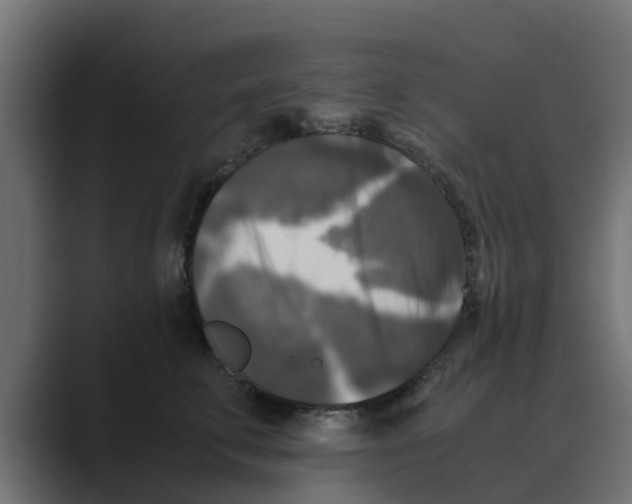 X0000088480711200706191406