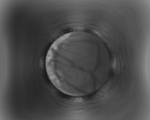 X0000088480715200706191406