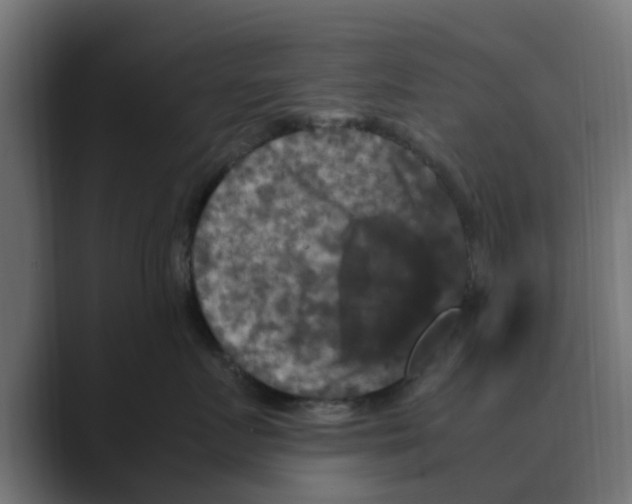 X0000088480719200706191406