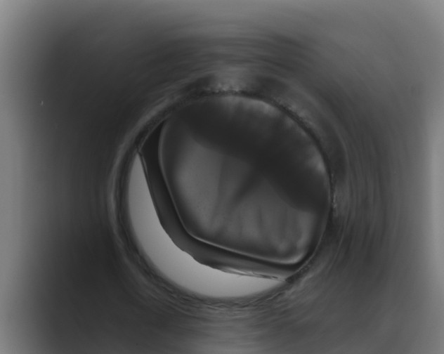 X0000088480722200706191406