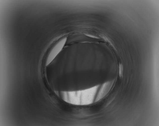 X0000088480723200706191406