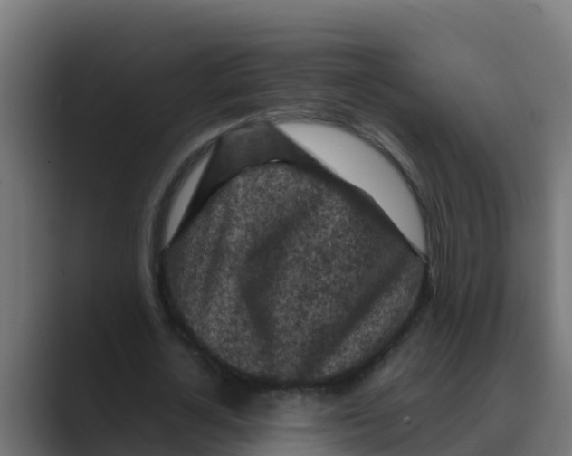 X0000088480724200706191406