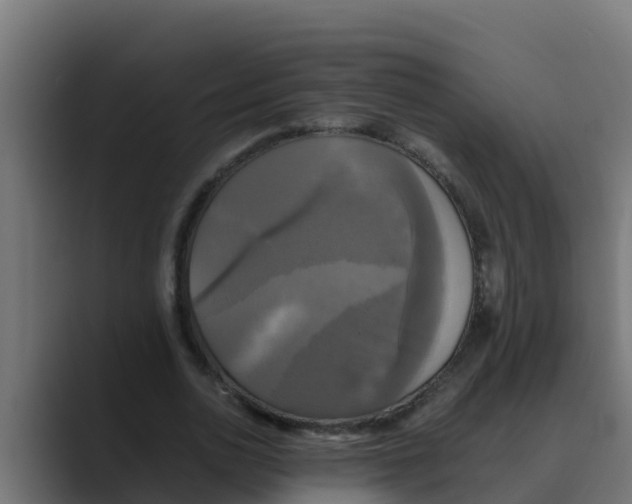 X0000088480726200706191406