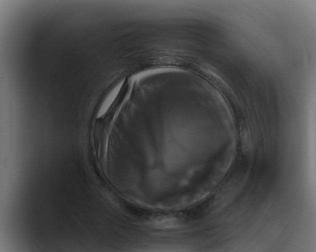 X0000088480729200706191406