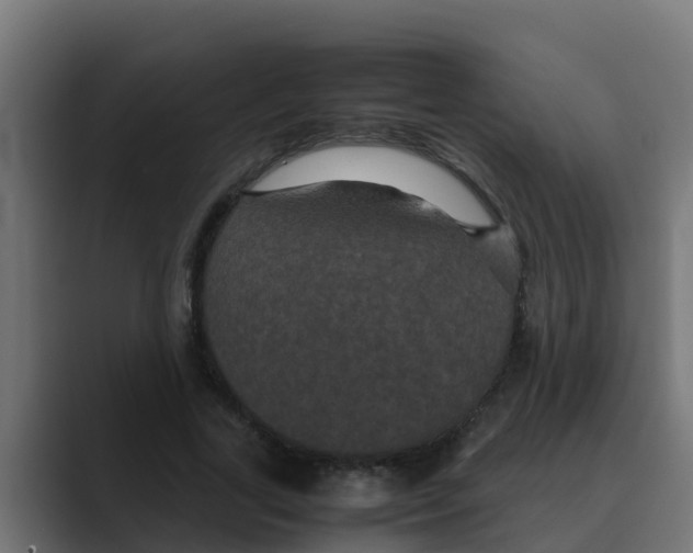 X0000088480731200706191406