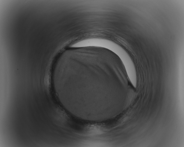 X0000088480732200706191406