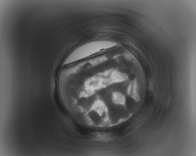 X0000088480733200706191406