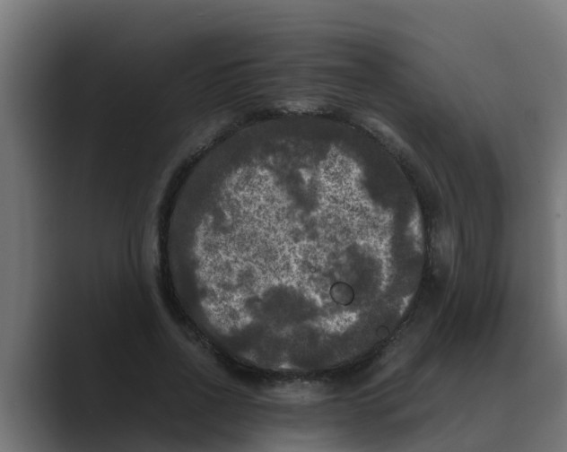 X0000088480734200706191406