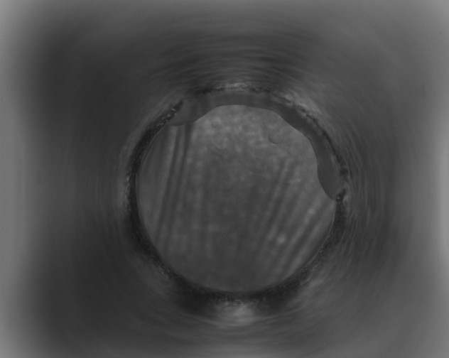 X0000088480735200706191406