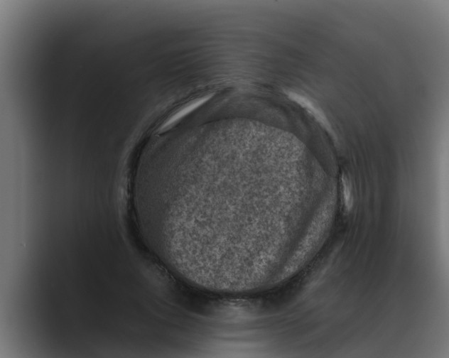 X0000088480736200706191406