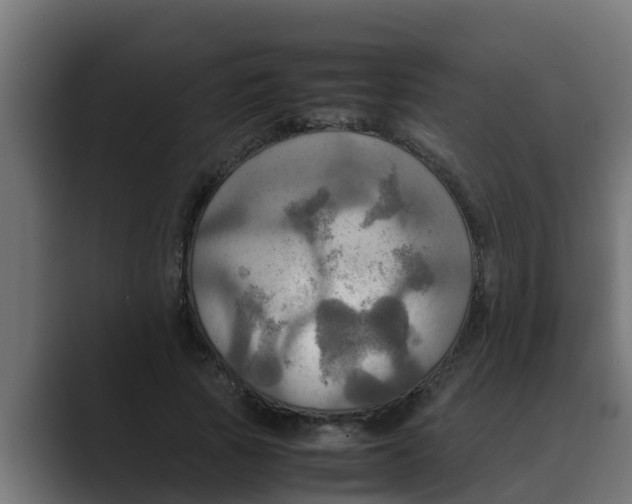 X0000088480737200706191406