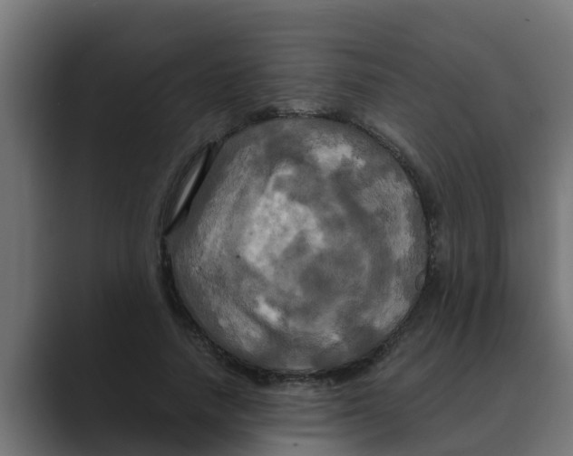 X0000088480738200706191406