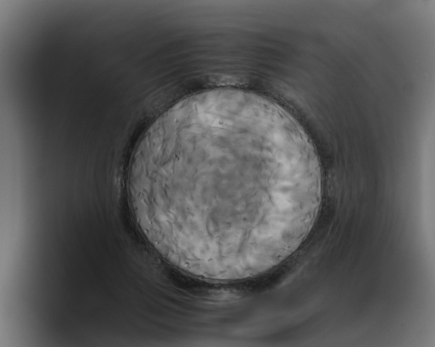 X0000088480741200706191406