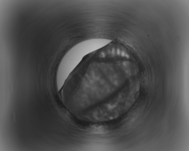 X0000088480742200706191406