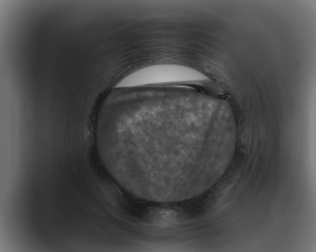 X0000088480743200706191406