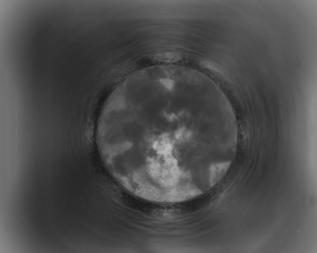 X0000088480745200706191406