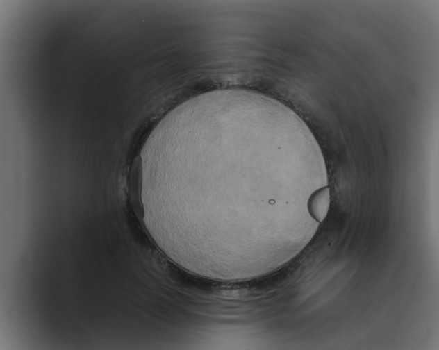 X0000088480746200706191406