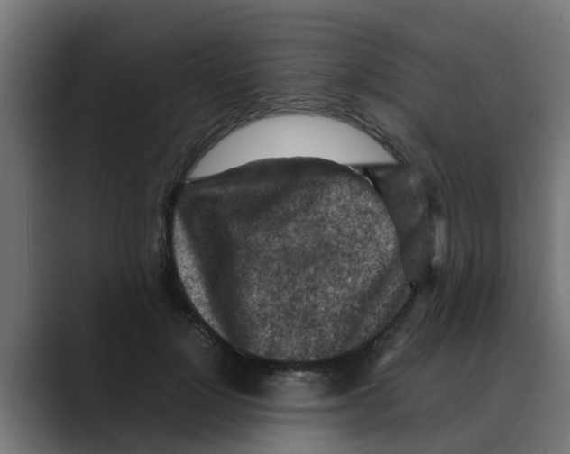 X0000088480748200706191406