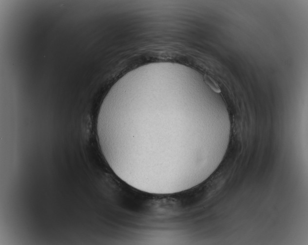 X0000088480752200706191406