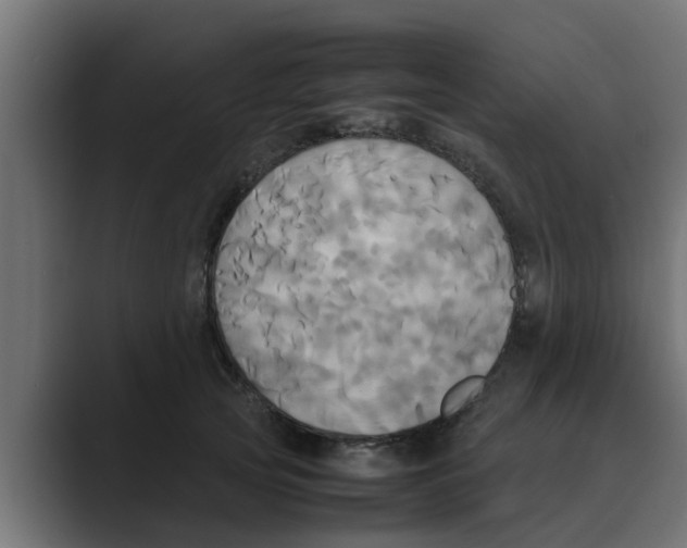 X0000088480753200706191406