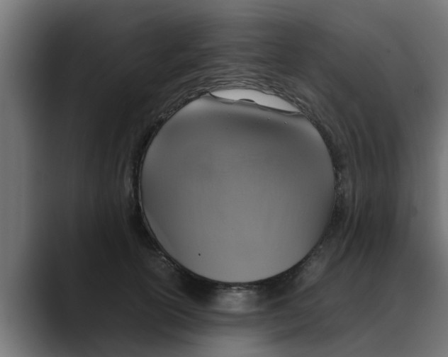 X0000088480754200706191406