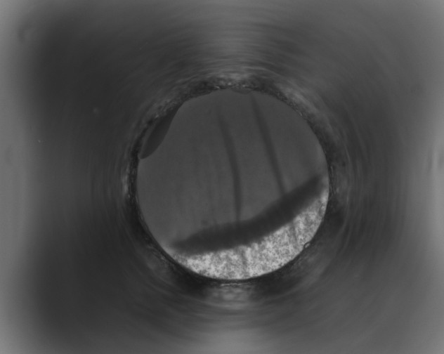 X0000088480758200706191406