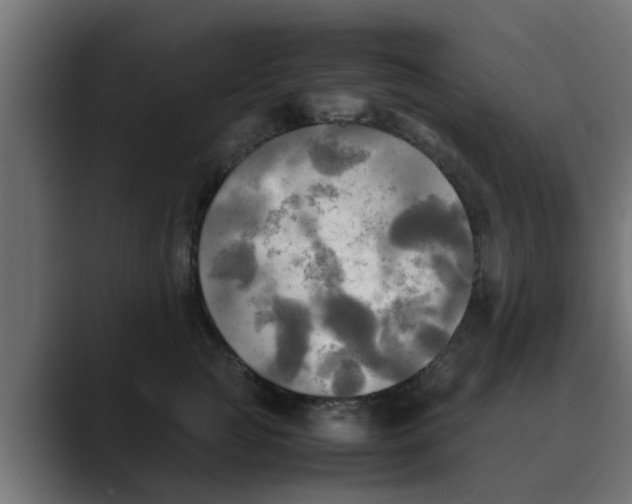 X0000088480761200706191406