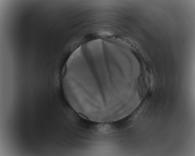 X0000088480762200706191406