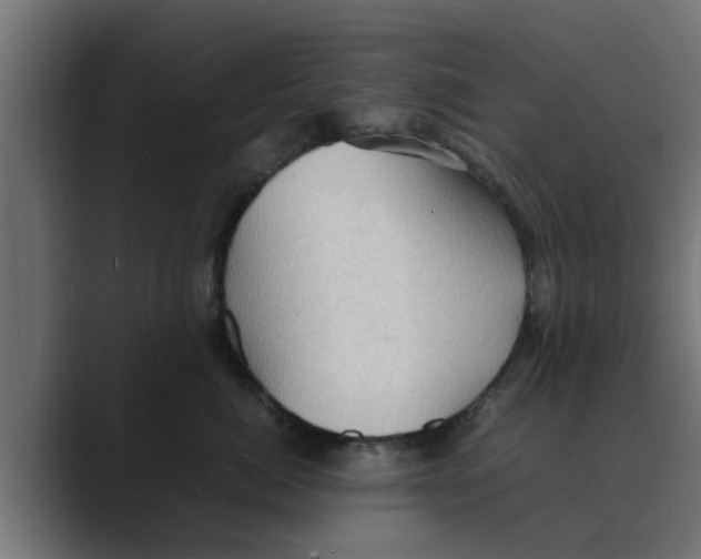 X0000088480764200706191406