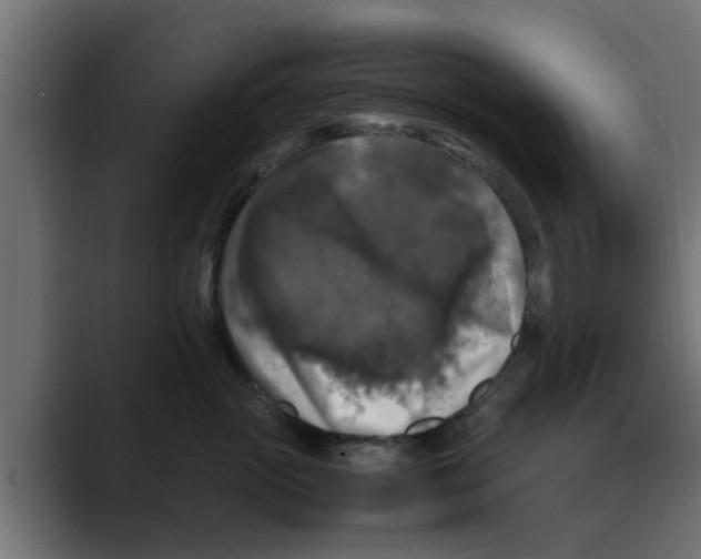 X0000088480765200706191406