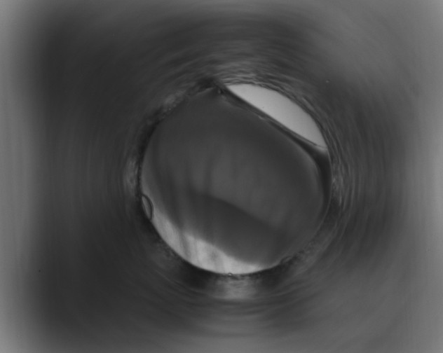 X0000088480767200706191406