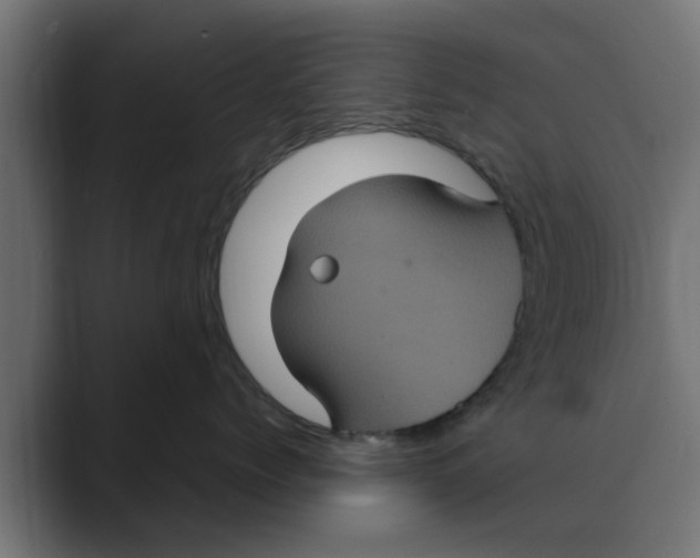 X0000088480768200706191406