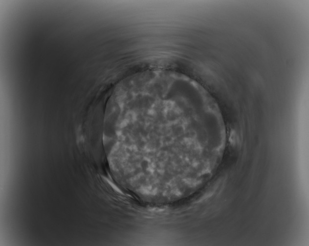 X0000088480771200706191406