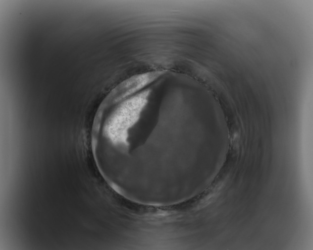 X0000088480772200706191406