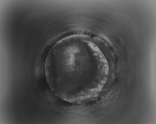 X0000088480775200706191406