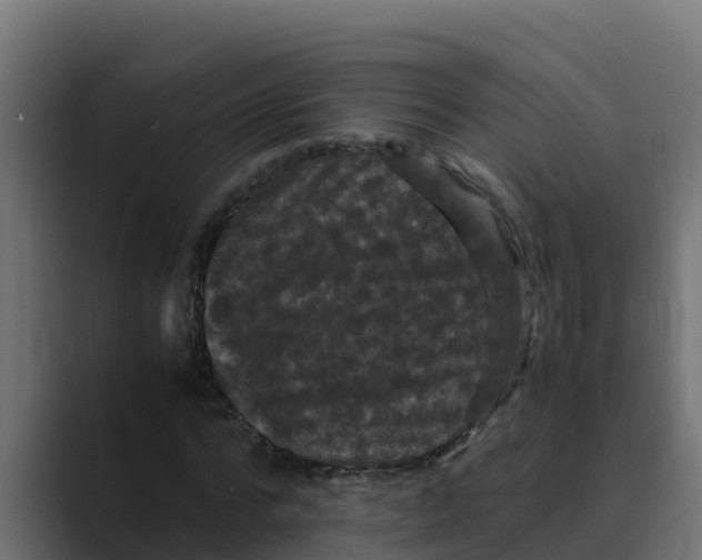 X0000088480776200706191406