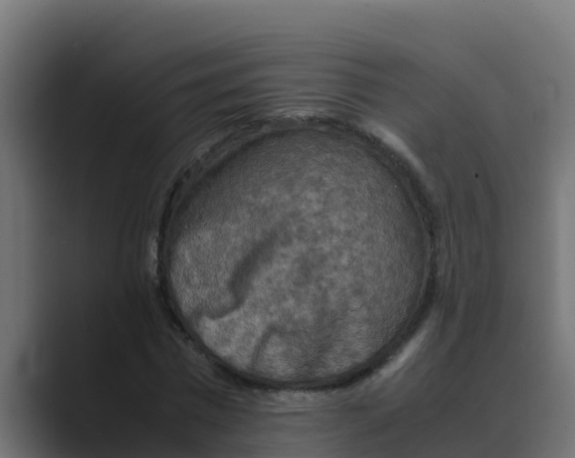 X0000088480777200706191406