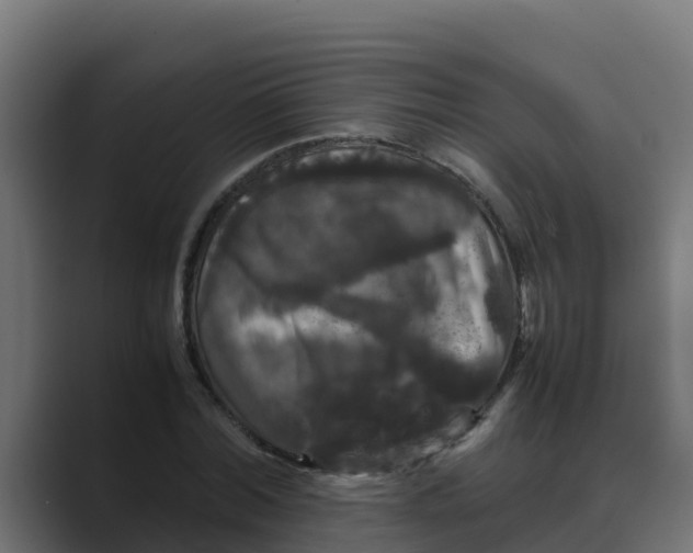 X0000088480780200706191406