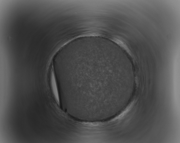 X0000088480781200706191406