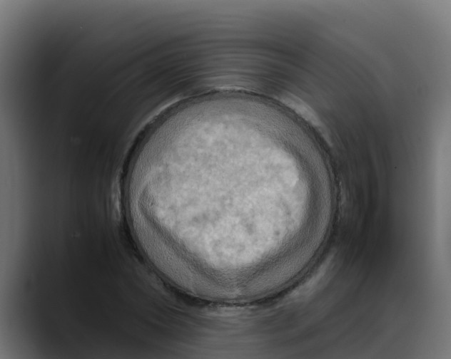 X0000088480782200706191406