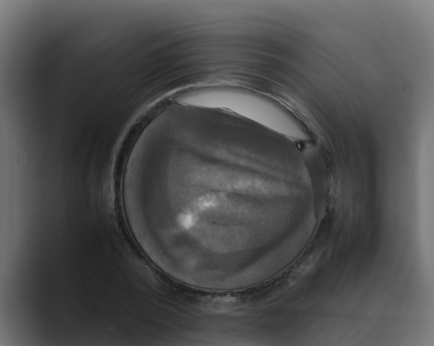 X0000088480784200706191406