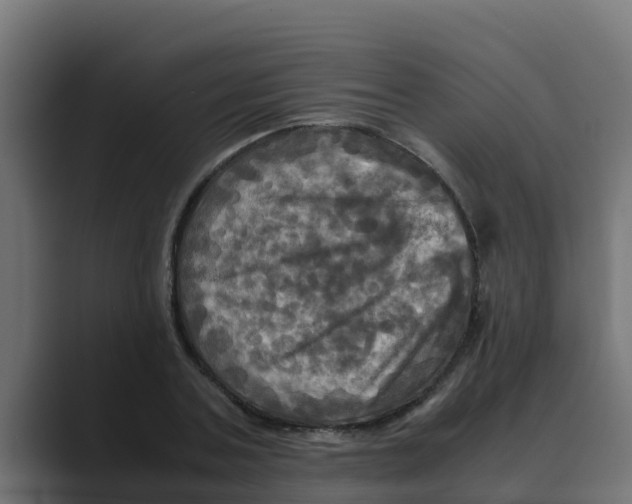 X0000088480787200706191406