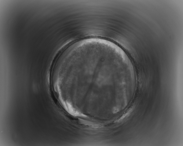 X0000088480790200706191406