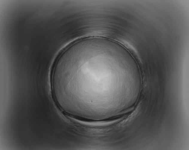 X0000088480792200706191406