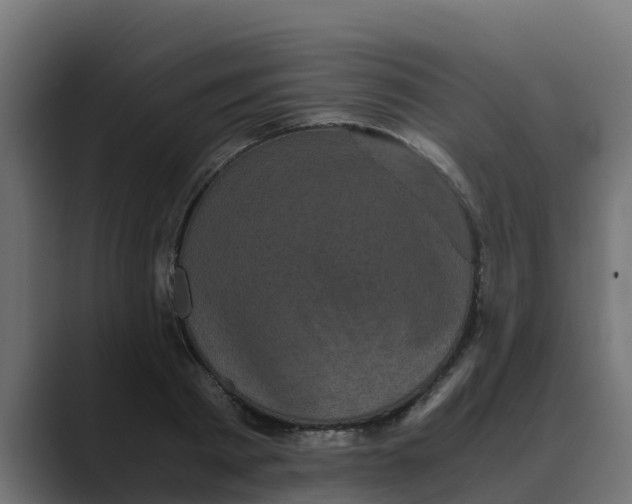 X0000088480793200706191406