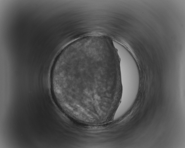 X0000088480795200706191406