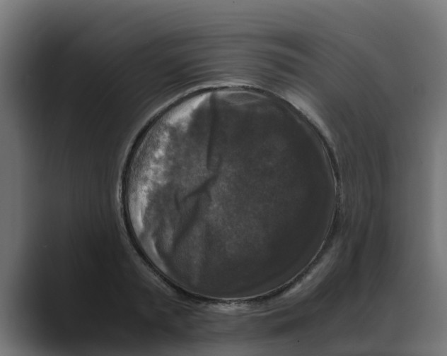 X0000088480797200706191405