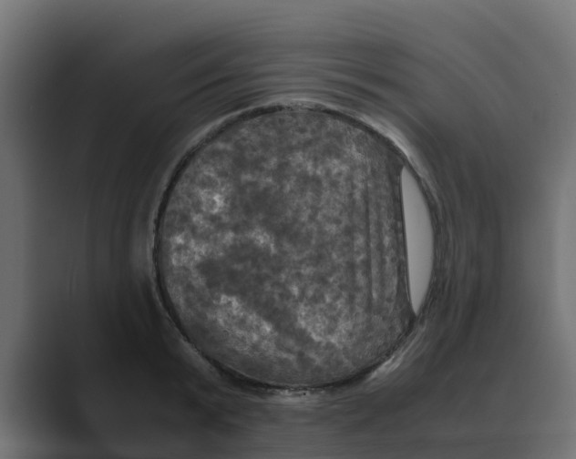 X0000088480799200706191405