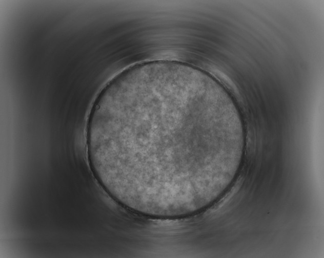 X0000088480800200706191405